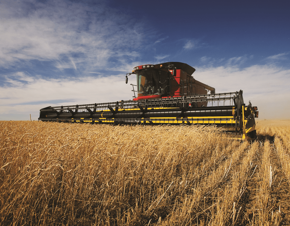 Image of a commercial grain processor