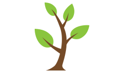 Sapling Tree